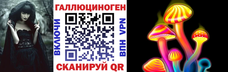 Галлюциногенные грибы Psilocybine cubensis Майкоп